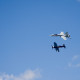 Navy Legacy Flight of F4 Corsair & F-18 Hornet // Wings Over Waukegan