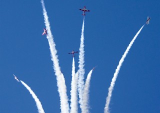 Snowbirds