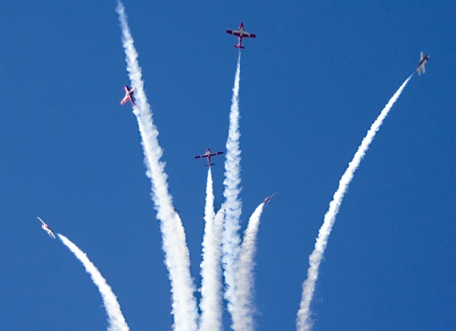 Snowbirds