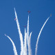 Snowbirds 431 Air Demonstration Squadron // >Wings Over Waukegan