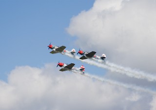 Yak-52s