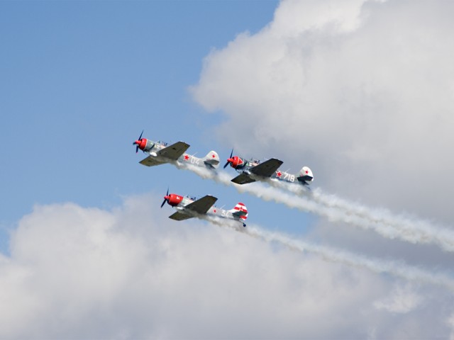 Yak-52s