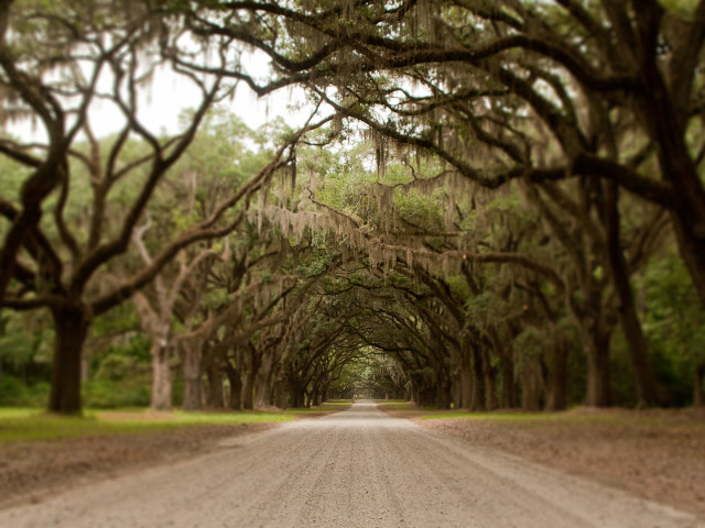 Wormsloe